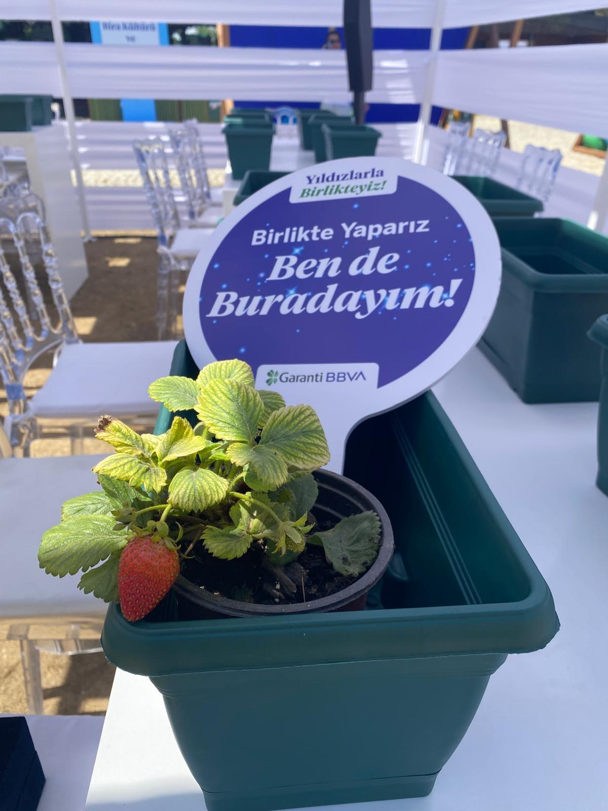 Saksıda Bostan Atölyesi