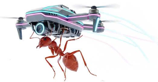 Drone
